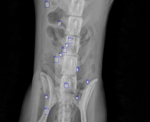 IntraMarX Xray